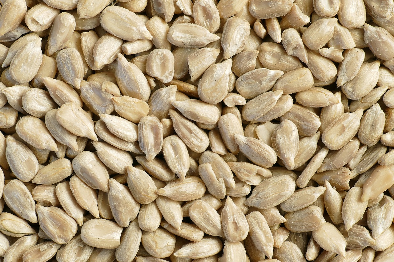 sunflower seeds, kernels, food-5236490.jpg