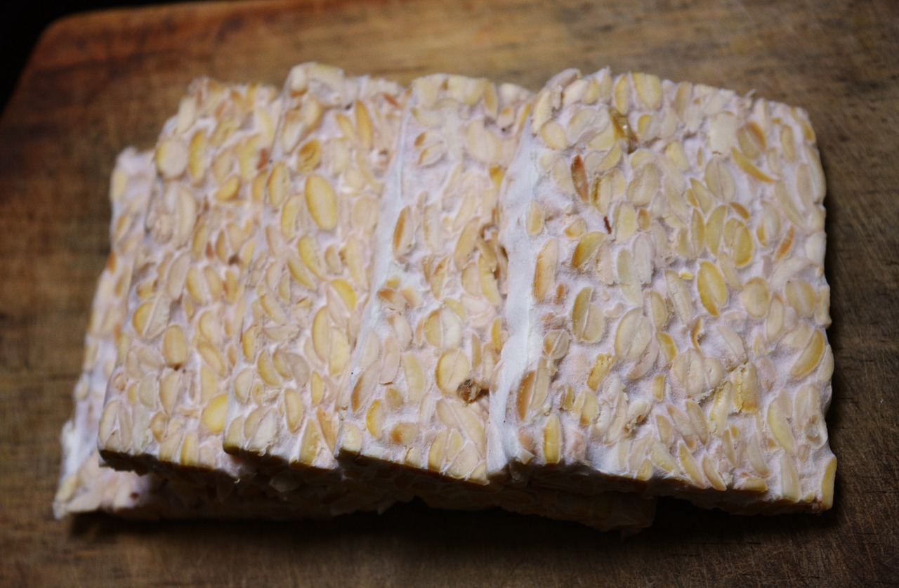 tempeh, food, soybean-4930032.jpg